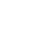 Pivex