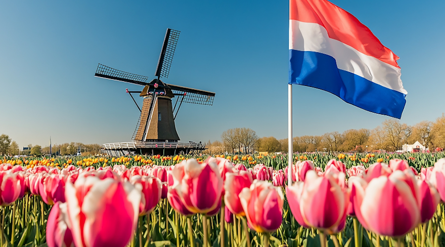 Налог на нереализованную прибыль 36% в Нидерландах